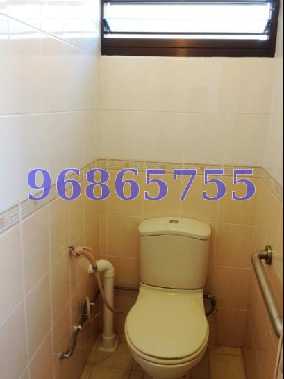 Blk 1 Haig Road (Geylang), HDB 3 Rooms #66384522